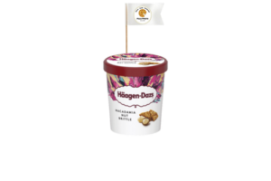 Haagen Dazs 100ml